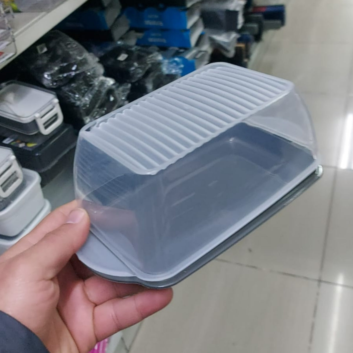 Maxi Cold Cuts Container for Fridge Storage