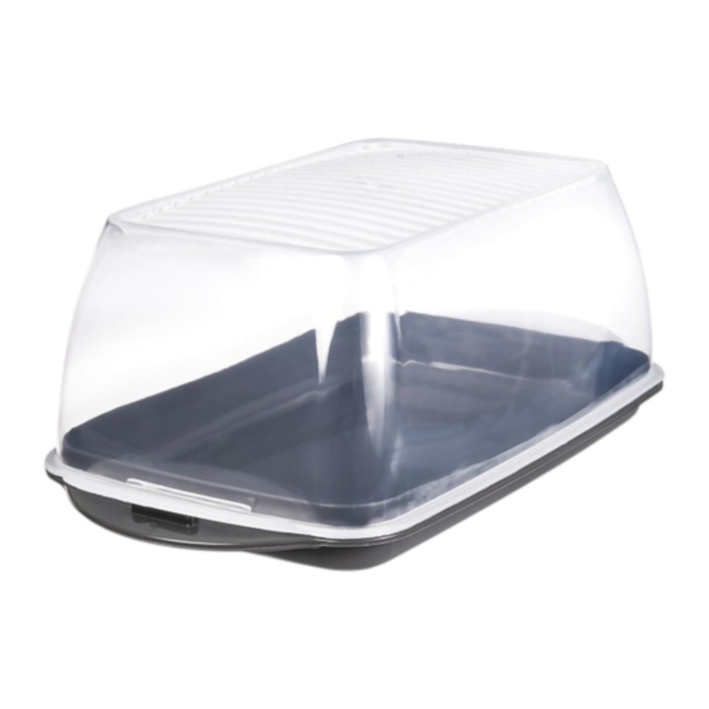 Maxi Cold Cuts Container for Fridge Storage