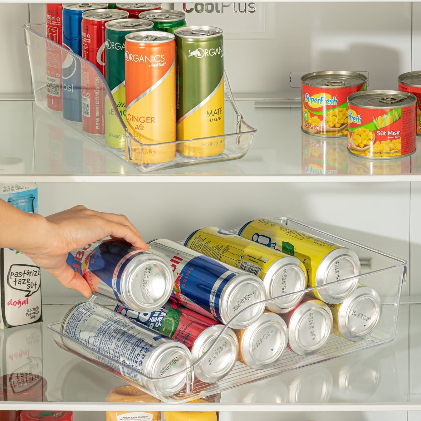 Large Ultra Clear Can Organizer 32.5x22.5x10 cm - Lunaz Shop