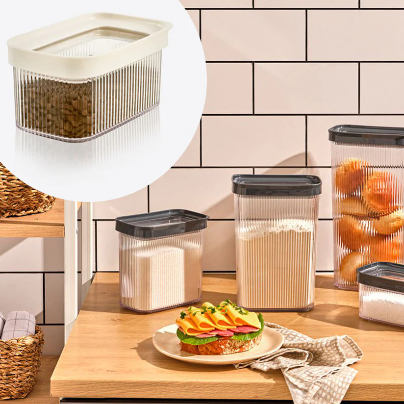 Line Plus Rectangular Food Box 700 mL - Lunaz Shop