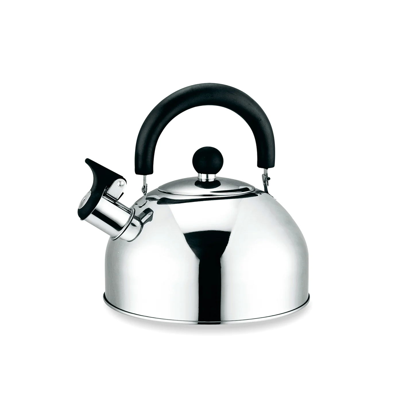 Stainless Steel Tea Kettle, 2.5L Whistle Tea Pot