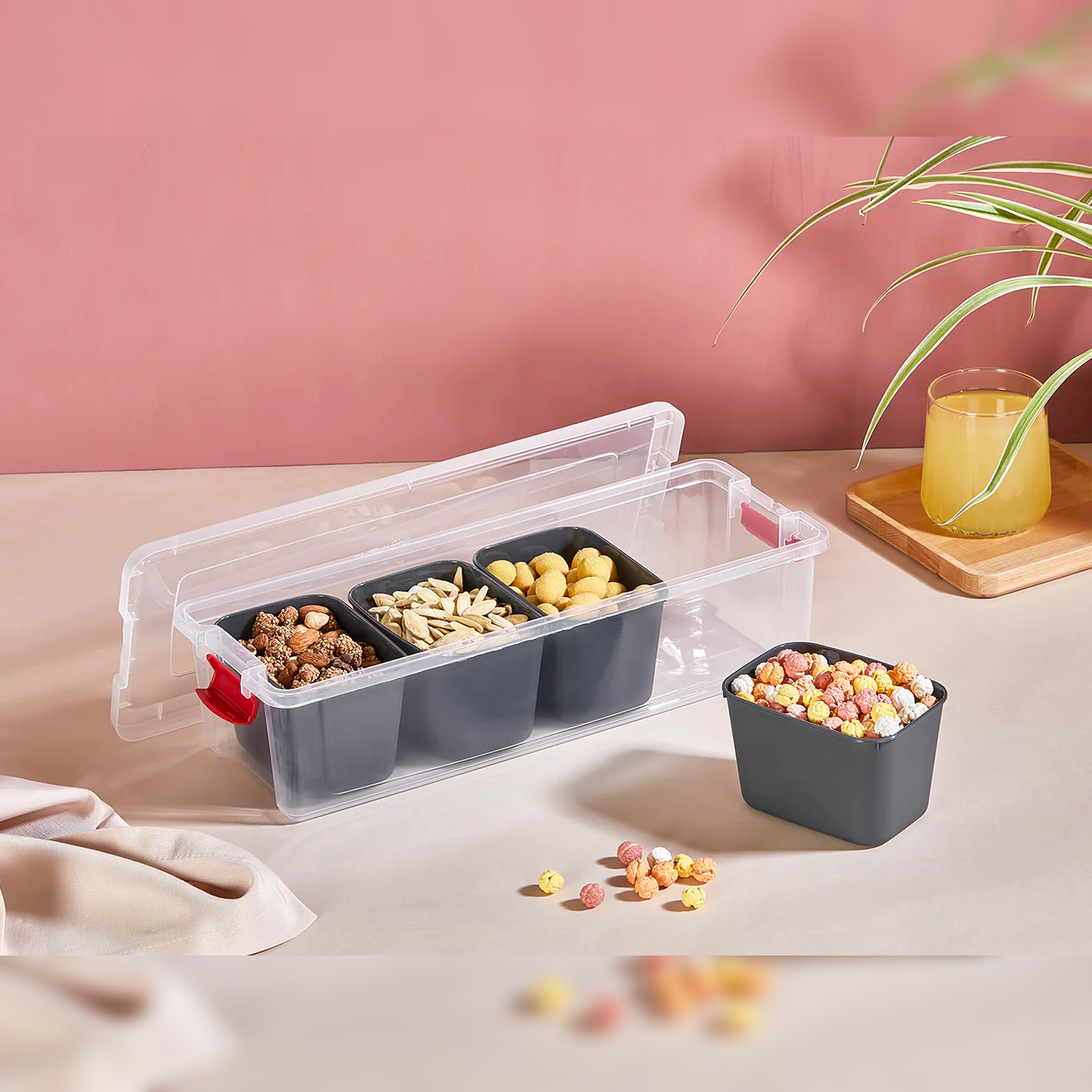 Organizers Food Box 3.4L with 4 Deepl Bowls