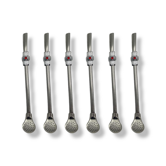 Set of 6 Stainless Steel Matteh Straws - Lunaz Shop