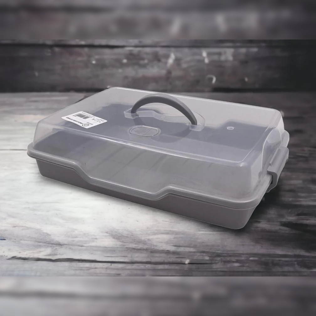 Rectangular Cookie and Pastry Carrier 34 cm - Lunaz Shop