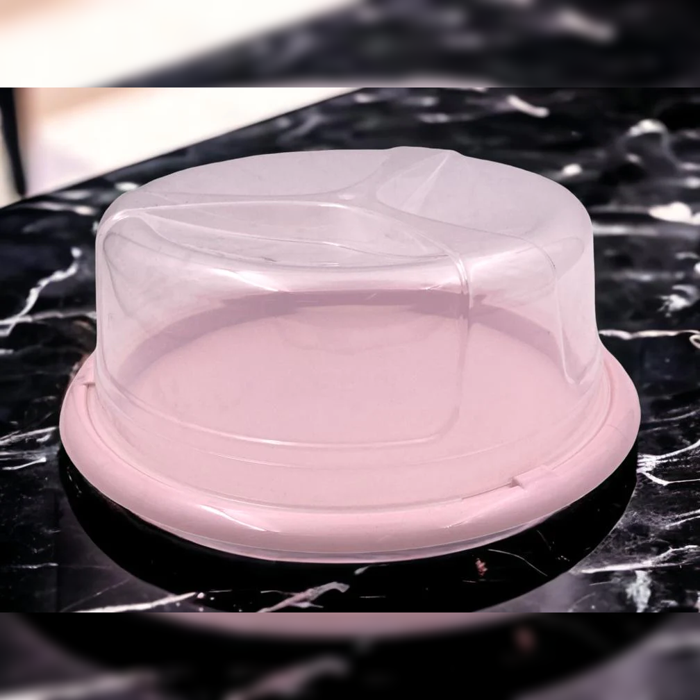 Round Cake Container 24 cm - Lunaz Shop
