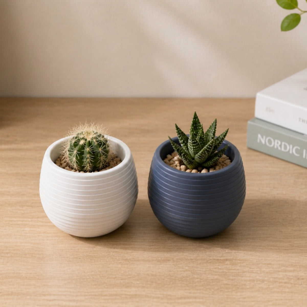 Empty Flowerpot 6.2 cm