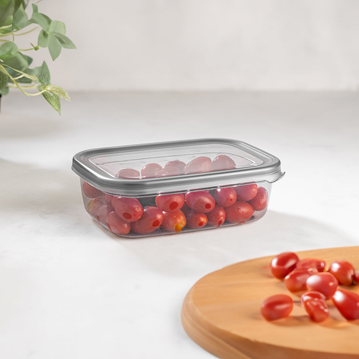 1.2 L Peggy Food Storage Box