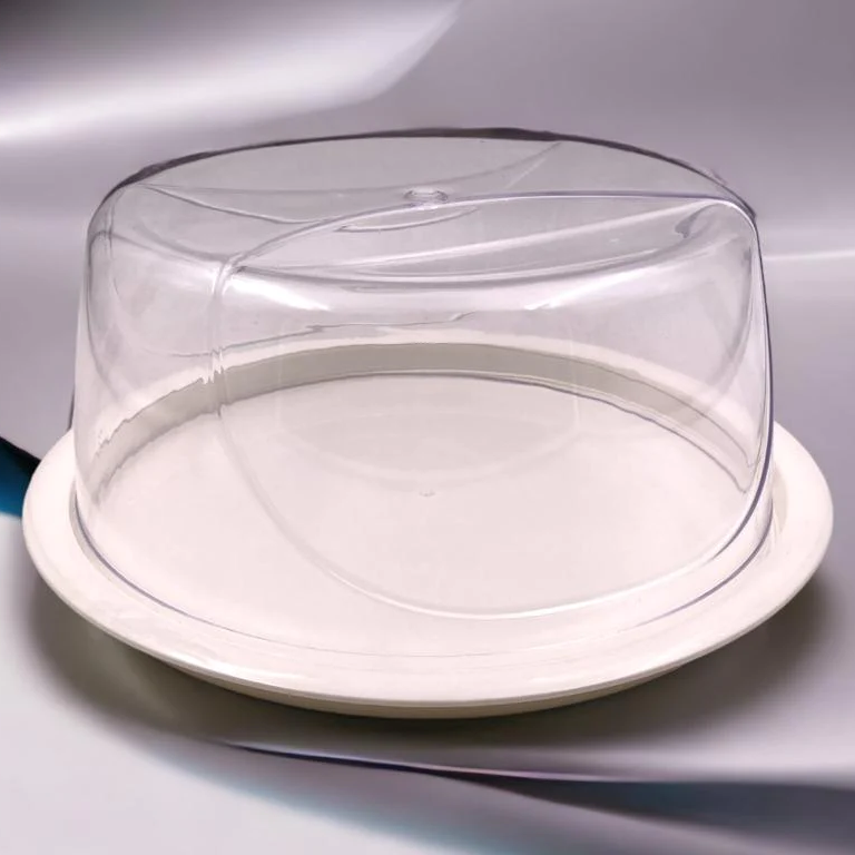 High Quality Cake Carrier with Acrylic Lid - Lunaz Shop