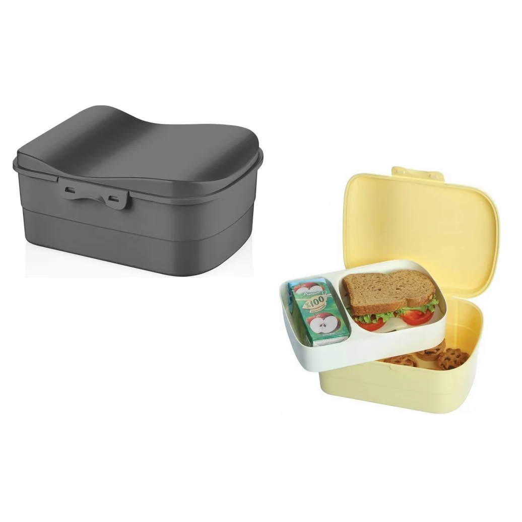 Luna Lunch Box with compartment tray