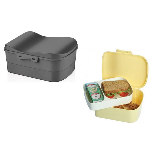 Luna Lunch Box with compartment tray
