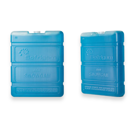 Ice Pack for Coolers X2 - Lunaz Shop