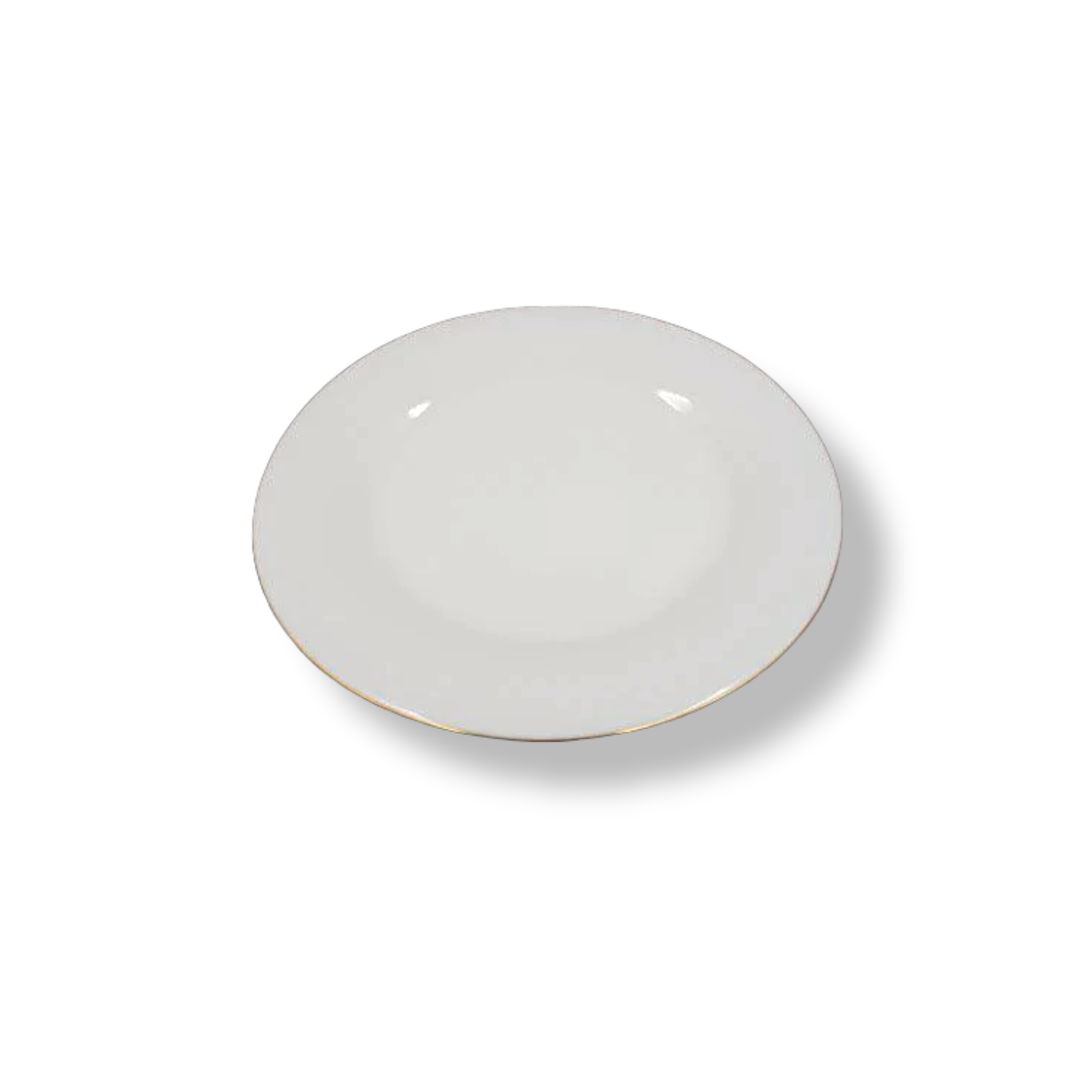 Fine Opal Dinner Plate 10" Gold - Lunaz Shop
