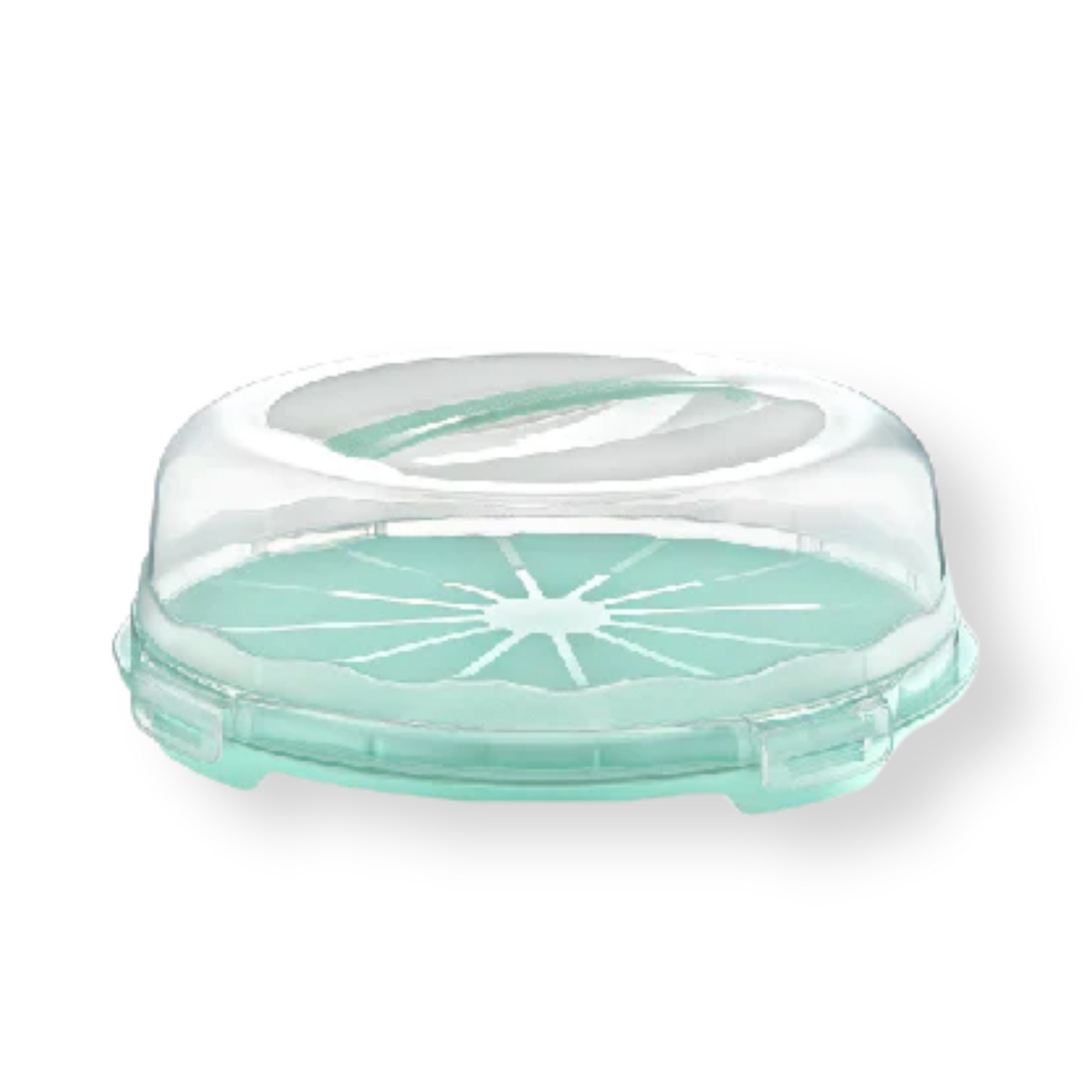 Low Pastry Carrier with Lid - Lunaz Shop